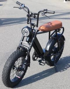 公道走行可 引取り限定 電動アシスト自転車 48Vバッテリー AUSブランド