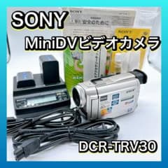 ソニー ビデオカメラDCR-TRV30 miniDV ダビング ミニ 昭和 磁気 - メルカリ