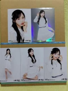 m83000866626_1.jpg?1761833785