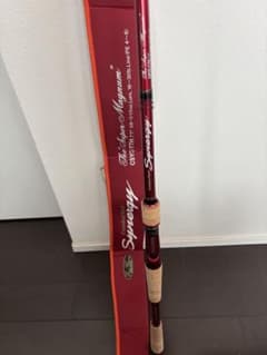 としお様専用。郵送可能。エバーグリーン シナジー スーパマグナム