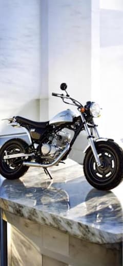 送料無料】エイプ用 アルミタンク ビッグシーダー TW200にも使用可能