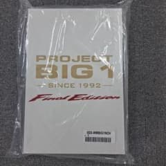 m95196747494_1.jpg?1757389474