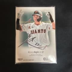 m95588627771_1.jpg?1749299685