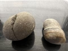 m96040943264_1.jpg?1713058865