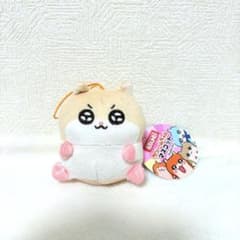 m97230675423_1.jpg?1762625868