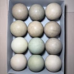 早い者勝ち】ソフトテニス ボール 20球 中古 - メルカリ