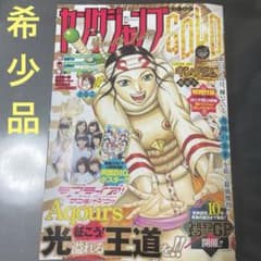 希少品 ヤングジャンプGOLD 付録 キングダム 48巻 コミックスカバー