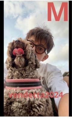 m99127598568_1.jpg?1716725495