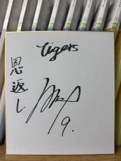 m99455224169_1.jpg?1767966332