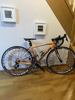 m99775516831_1.jpg?1748903144