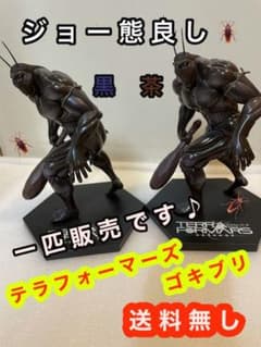 売却済 テラフォーマーズ ゴキブリ ジョージ - メルカリ