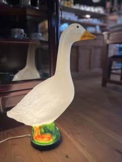 m90165343645_1.jpg?1748588575