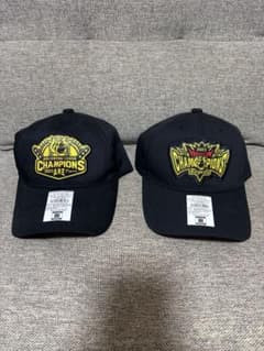 阪神タイガース2023年 リーグ・日本シリーズ優勝キャップ 2点セット