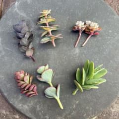 m91279999535_1.jpg?1715566700