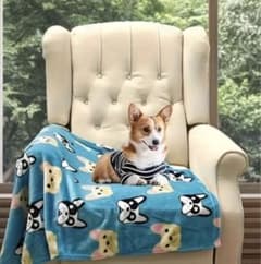 更にsale☆犬柄ブランケット ひざ掛け 毛布 フレンチブルドッグ 80×110