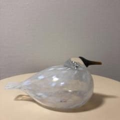 m92037337490_1.jpg?1661156910