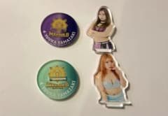 女子プロレス マリーゴールド 直筆サイン入りポートレート 山岡聖怜