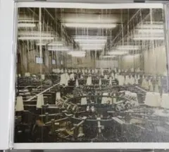 2026年最新】toe For Long tomorrow レコードの人気アイテム - メルカリ