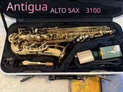 2026年最新】サックス本体の人気アイテム - メルカリ