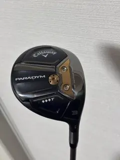 2026年最新】パラダイム 3wの人気アイテム - メルカリ