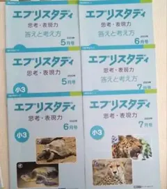 2026年最新】エブリスタディの人気アイテム - メルカリ