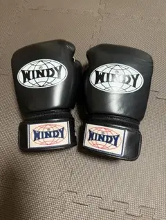 2026年最新】windy グローブ 8オンスの人気アイテム - メルカリ