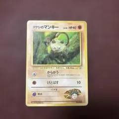 m44775442385_1.jpg?1767792501