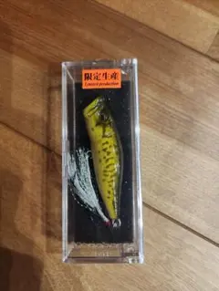 2026年最新】woody popxの人気アイテム - メルカリ