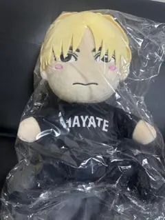 2026年最新】飯島颯 ぬいぐるみの人気アイテム - メルカリ