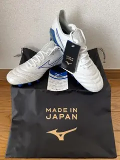 2026年最新】モレリアネオ3 アズールブルーの人気アイテム - メルカリ