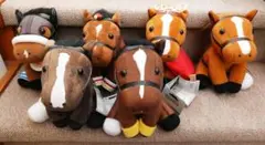 2026年最新】アイドルホース10周年の人気アイテム - メルカリ