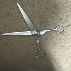 2026年最新】セニング サクシードの人気アイテム - メルカリ