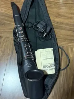 2026年最新】DH-500 CASIOの人気アイテム - メルカリ