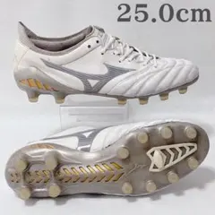 2026年最新】モレリアネオ3 シャイニングの人気アイテム - メルカリ