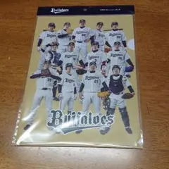 2026年最新】実使用 オリックスの人気アイテム - メルカリ