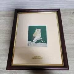 2026年最新】武比古 フクロウの人気アイテム - メルカリ