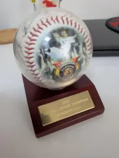 2026年最新】阪神タイガース2003優勝記念の人気アイテム - メルカリ