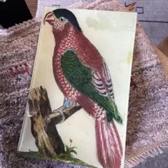 2026年最新】ジョンデリアンの人気アイテム - メルカリ