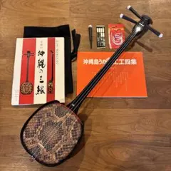 2026年最新】三線 蛇皮の人気アイテム - メルカリ