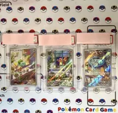 2026年最新】ゼニガメ ar psa10の人気アイテム - メルカリ