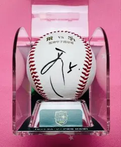 m42063305377_1.jpg?1769581001