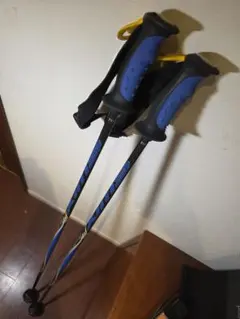 2026年最新】SWIX cobraの人気アイテム - メルカリ