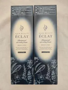 2026年最新】ヘアボーテエクラ ボタニカル エアカラーフォーム