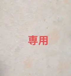 2026年最新】ロウルサンコの人気アイテム - メルカリ