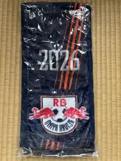 2026年最新】大宮アルディージャタオルマフラーの人気アイテム - メルカリ