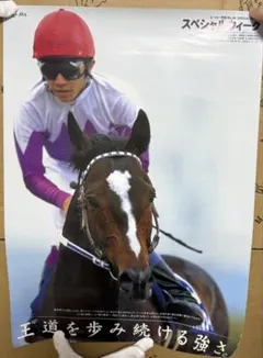 2026年最新】ヒーロー列伝 クリアファイルの人気アイテム - メルカリ