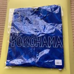 2026年最新】横浜ベイスターズ ウインドブレーカーの人気アイテム