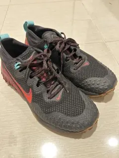 2026年最新】ナイキ 28.5 トレイルの人気アイテム - メルカリ