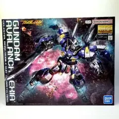 2026年最新】MG ガンダム アヴァランチ エクシア ダッシュの人気