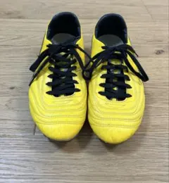 2026年最新】パラメヒコライトの人気アイテム - メルカリ